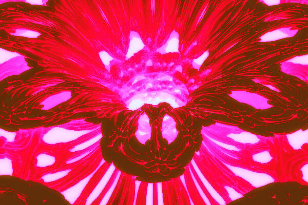 Fractal art - Rafflesia