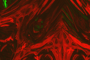 3d fractals main image